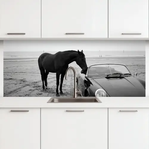 Paard - Auto - Zwart - Wit keuken achterwand 2 middel -3d
