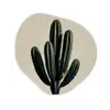 Cactus - Subtiel - Groen Wandcirkel Organisch Forex 3mm klein -3d