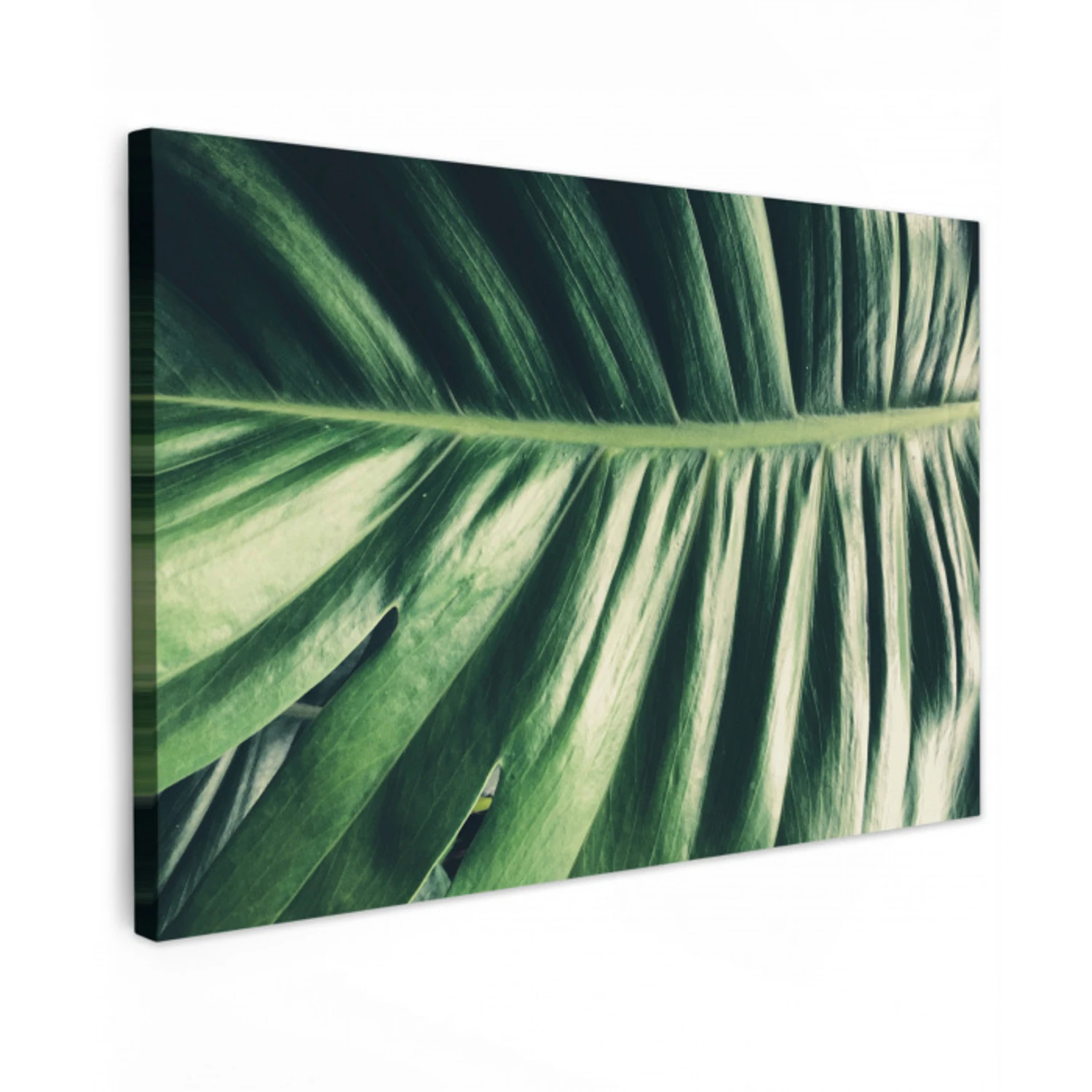 Bladeren - Tropisch - Jungle Tuinposter op houten frame 2 cm dik klein -3d