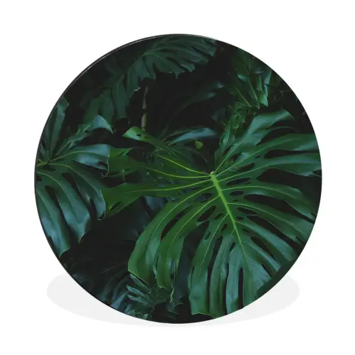 Monstera -  Inductie beschermer - Bladeren - Tropical - Afdekplaat voor kookplaat Wandcirkel aluminium klein -3d