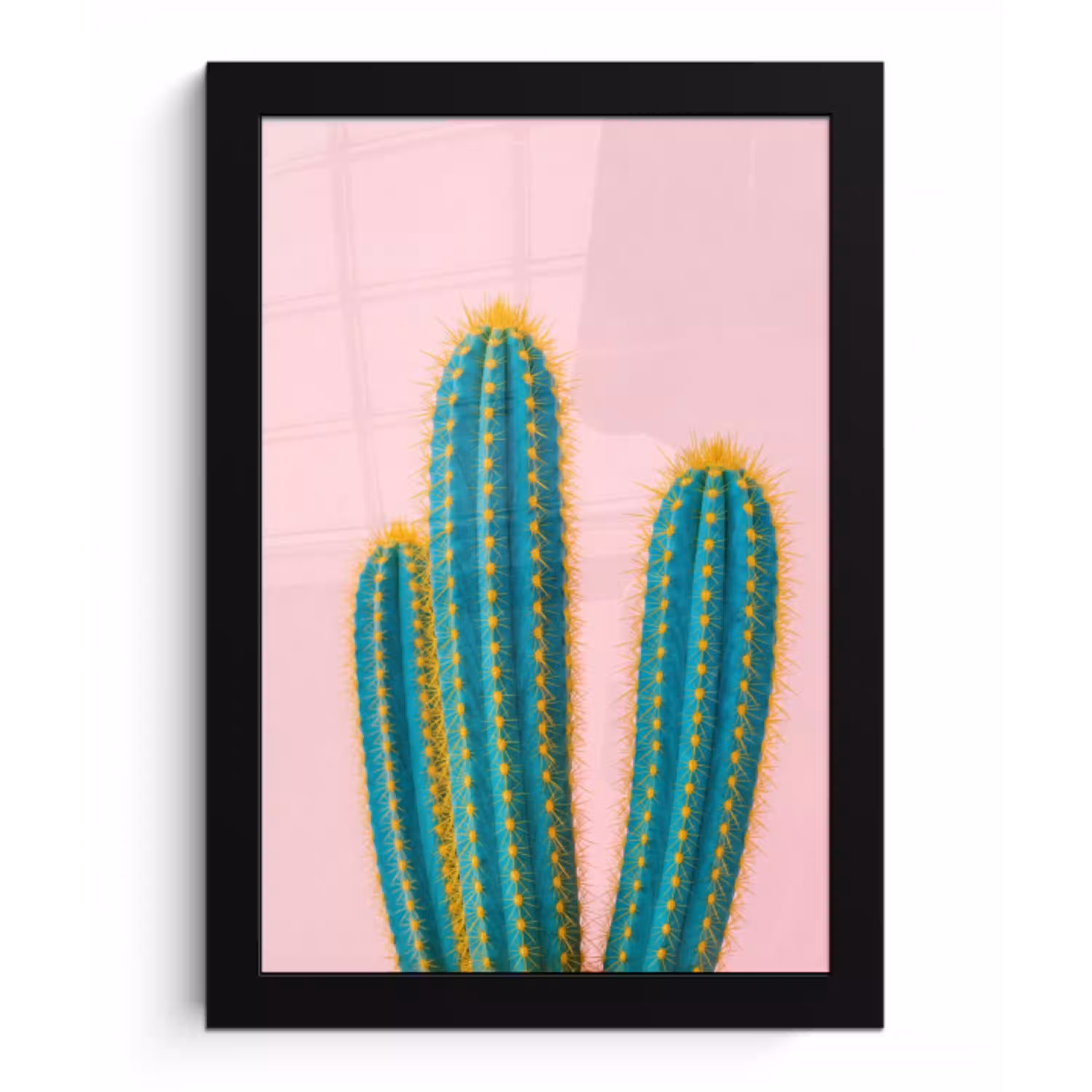 Cactussen - Modern - Pastel fotolijst zwart zonder passe partout klein -3d