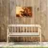 Leeuwenpaar bij zonsondergang Tuinposter op houten frame 2 cm dik klein -sfeer4