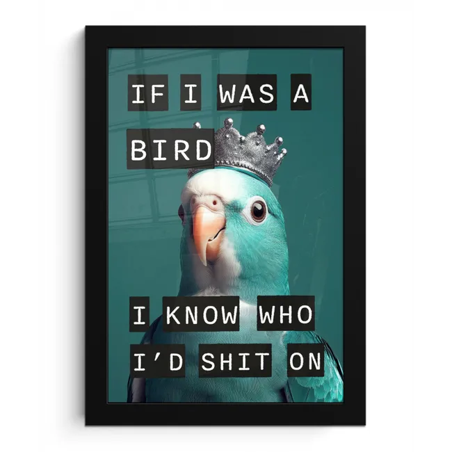 Parkiet - Turquoise - Quotes - Decoratie fotolijst zwart zonder passe partout klein -3d