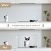 Kat - Zonnebril - Wijnglas - Langharig keuken achterwand spatscherm klein -voor_na_NL