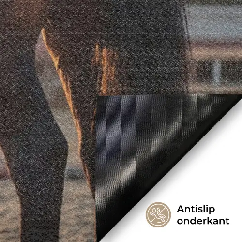 Harmonie - Ruiter - Zon Deurmat klein -antislip_NL