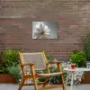 Bloem - Wit - Neutraal Tuinposter op houten frame 2 cm dik klein -sfeer3