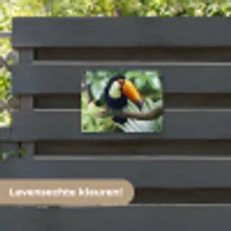 Toekan - Vogel - Jungle tuinposter los doek klein -sfeer3