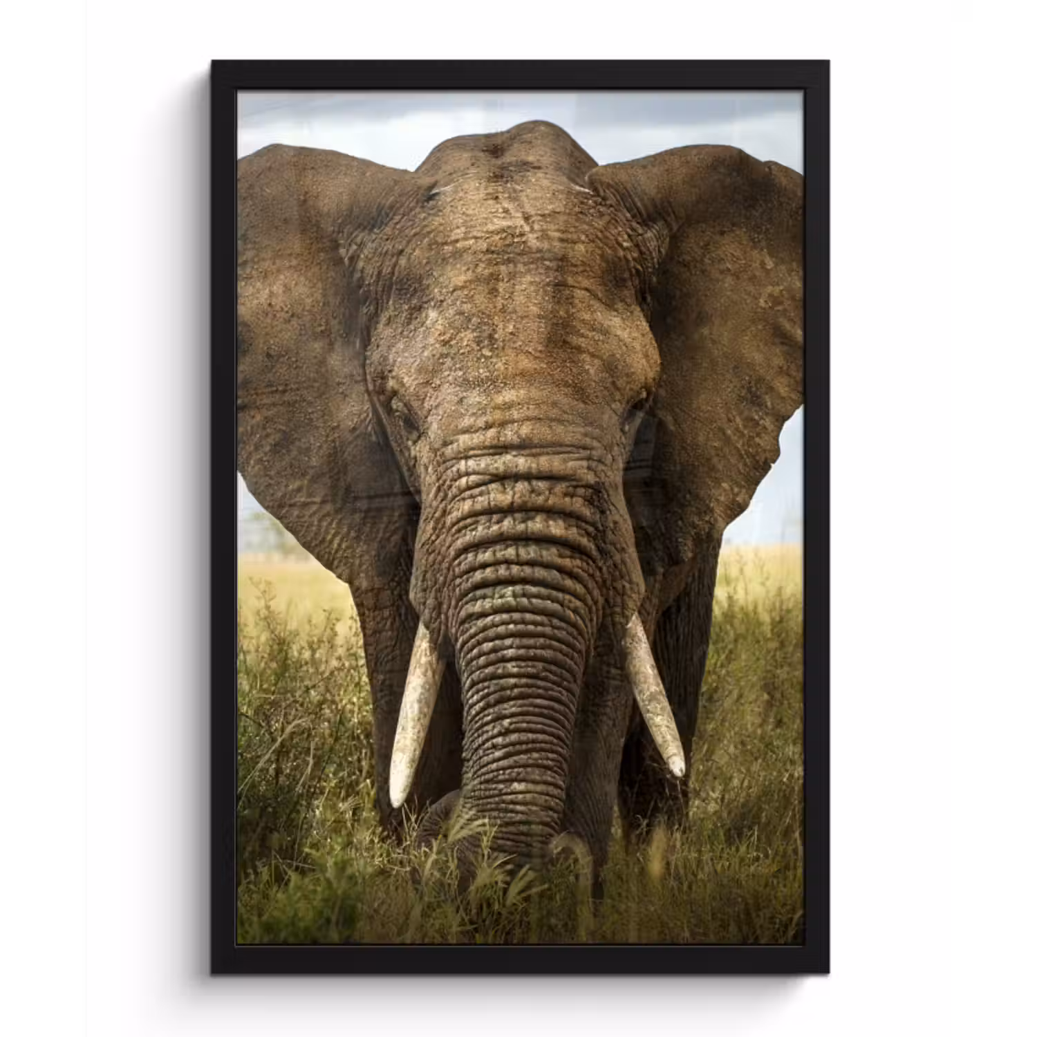 Poster met lijst - Olifant - Natuur - Gras - Dieren - Landschap