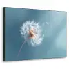 Paardenbloem - Wind - Blauw Textielframe zwart klein -3d