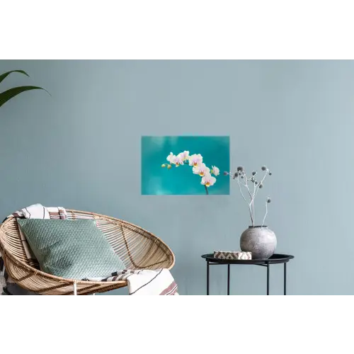 Orchidee - Bloemen - Plant - Wit - Paars Muursticker klein -plant