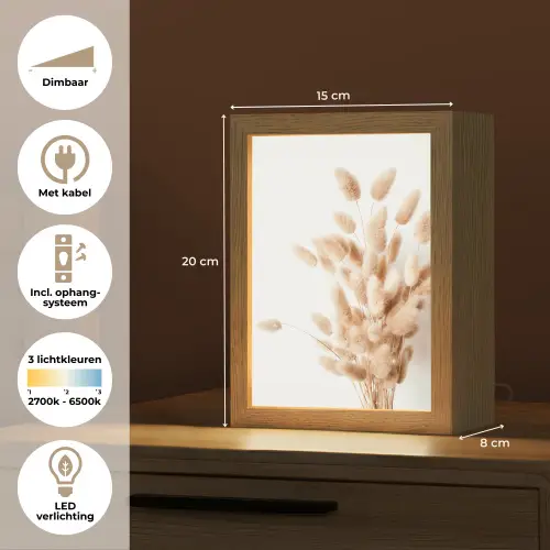 Pampasgras - Pluim - Wit - Beige Light Box met kabel (Tafellamp) klein -USP_NL