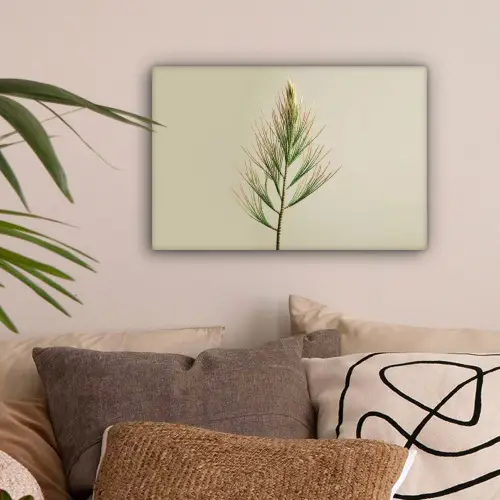 Dennentak - Naaldvormige bladeren - Lichtgroen canvas 2cm klein -sfeer1