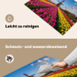 Tulpen - Holland - Molen - Kleurrijk Inductie beschemer met haakjes klein -ky-schoon-de