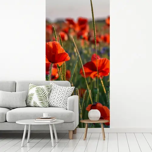 Bloemen - Klaprozen - Natuur - Rood fotobehang vinyl groot -woonkamer