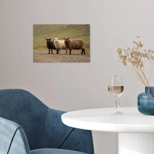 Schapen - Bruin - Wit - Grindpad poster papier klein -sfeer3