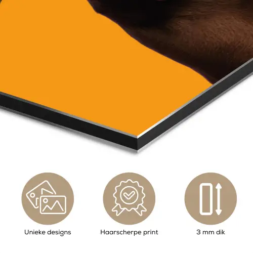 Hond - Oranje - Roos - Valentijn aluminium wit klein -closeup_NL
