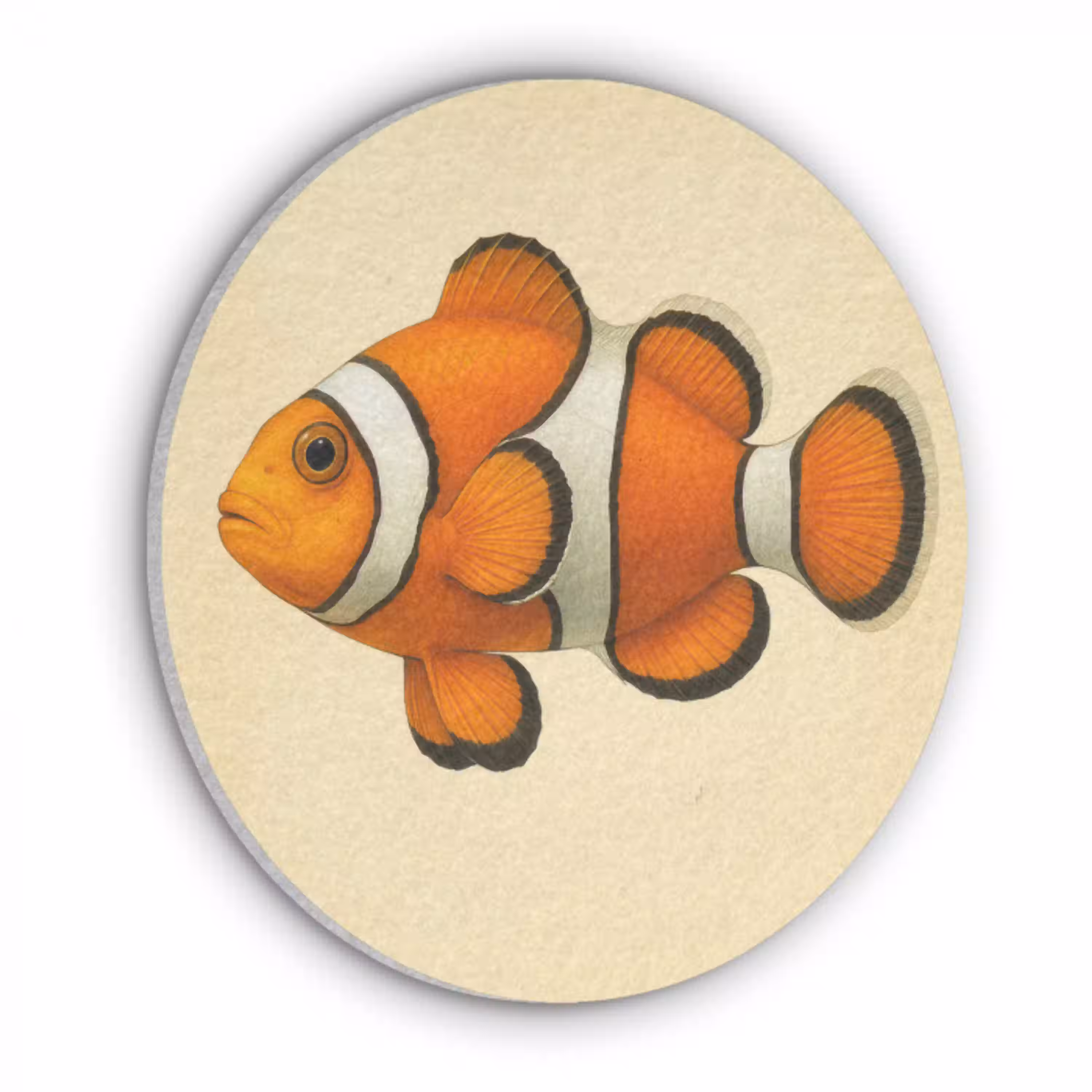 Vis - Oranje - Strepen Akoestische PET Vilt - Rond klein -3d