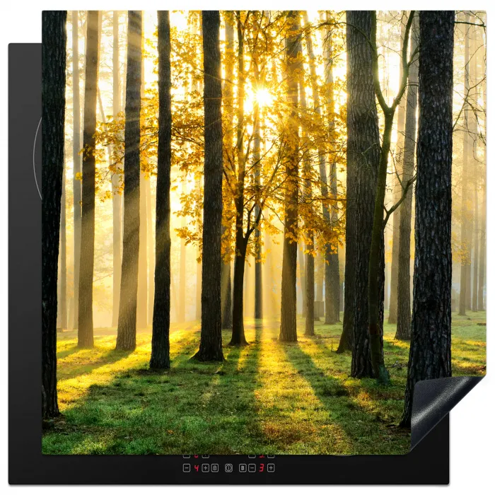 Bos - Zon - Bomen - Gras - Landschap  - Natuur Inductie beschermer vinyl 3mm middel -3d