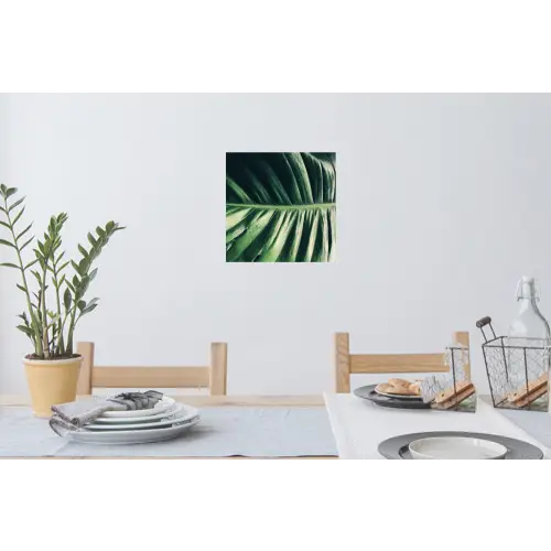 Tropisch - Inductie mat - Natuur - Inductie beschermer - Jungle Muursticker klein -eettafel