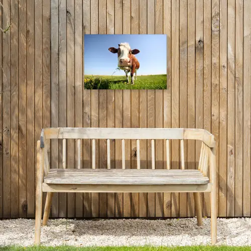 Koe - Dieren - Bloemen - Gras Tuinposter op houten frame 2 cm dik klein -sfeer4