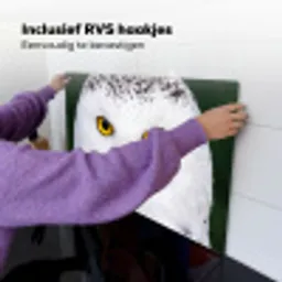 Sneeuwuil - Portret - Geel Inductie beschemer met haakjes klein -ky-ophangen-nl