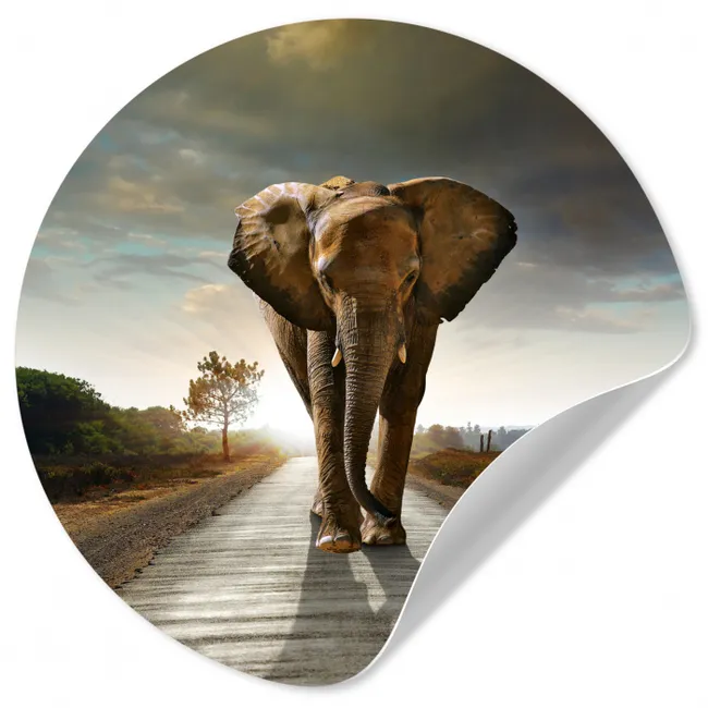Olifant - Weg - Dieren - Zonsondergang - Landschap Wandcirkel behangsticker klein -3d