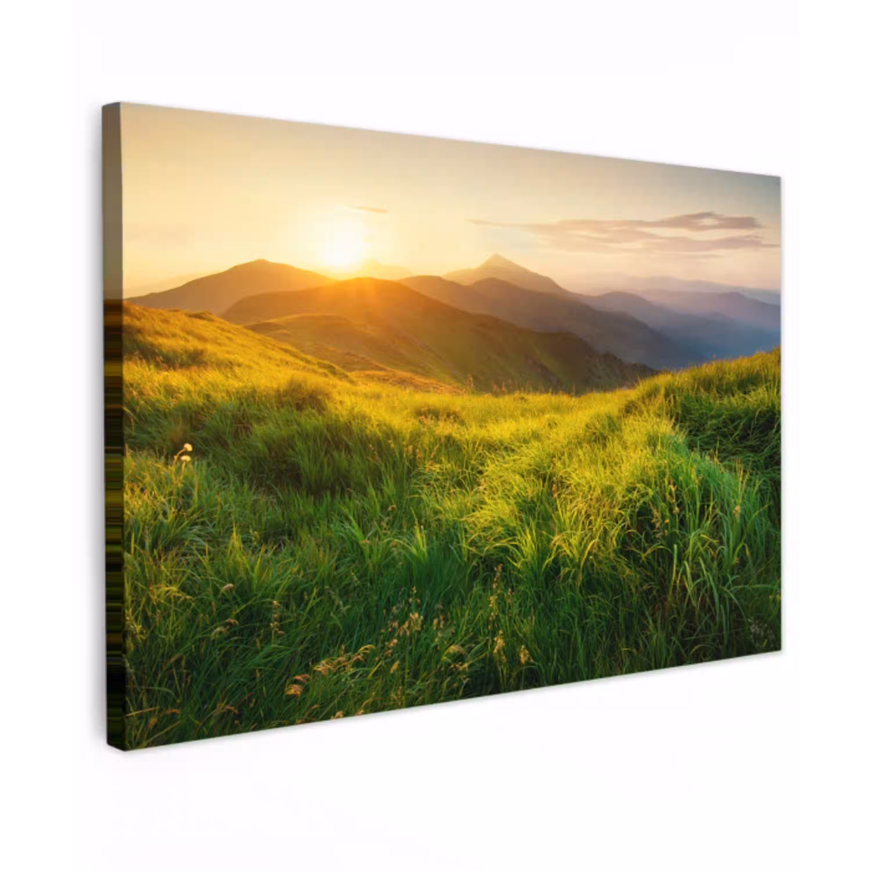Gras - Heuvels - Zon - Natuur - Landschap Tuinposter op houten frame 2 cm dik klein -3d