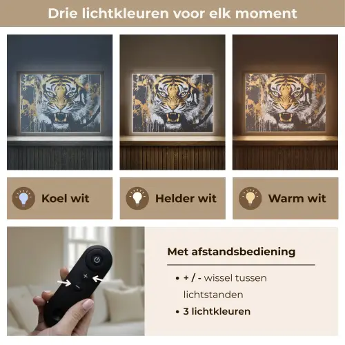Tijger - Verfspatten - Goud Light Box met batterij (Wandlamp) middel -USP_lichtkleurNL