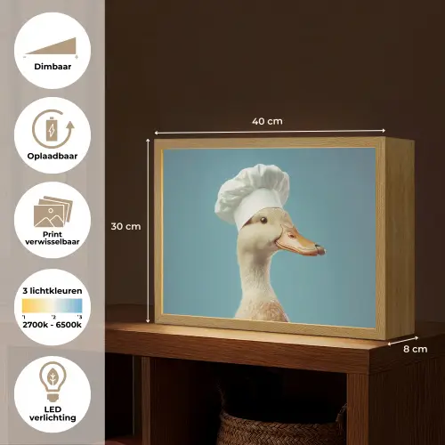Eend - Koksmuts - Cute - Vogel Light Box met batterij (Wandlamp) middel -USP_websiteoverzichtNL