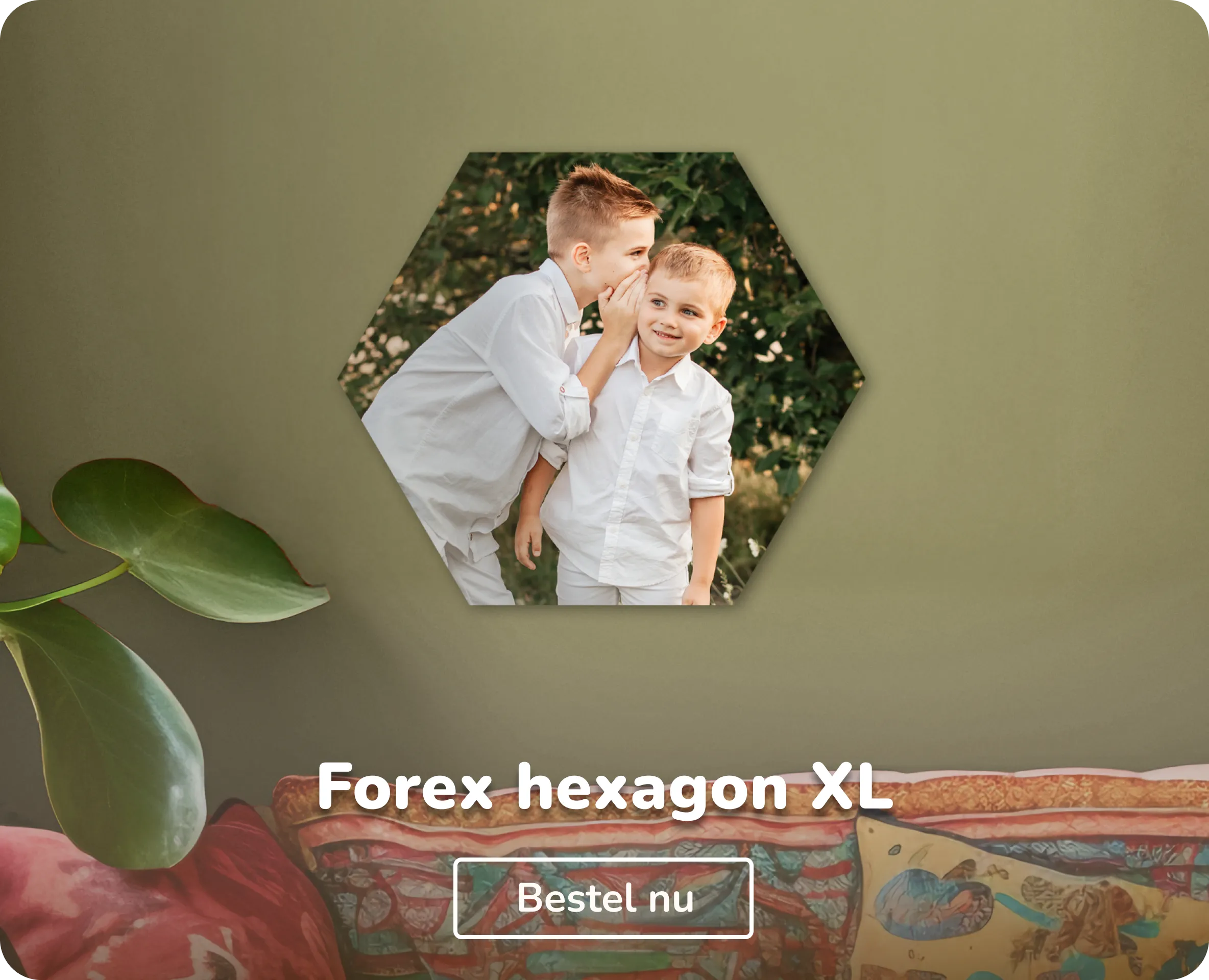 Foto op forex hexagon XL