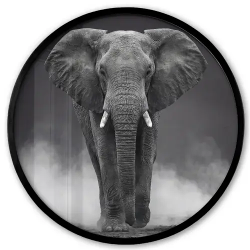 Olifant - Zwart - Wit - Rook Fotolijst rond zonder passe partout klein -3d