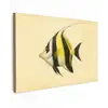 Vis - Sierlijk - Rugvin - Geel canvas 2cm klein -z3d