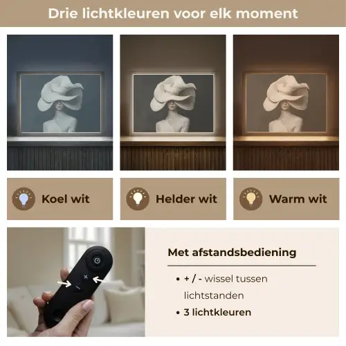 Modern - Vrouw - Hoed Light Box met batterij (Wandlamp) middel -USP_lichtkleurNL