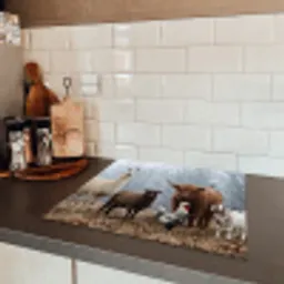 Boerderijdieren - Groep - Mist - Natuur - Rustiek Inductie beschermer vinyl 3mm middel -sfeer3