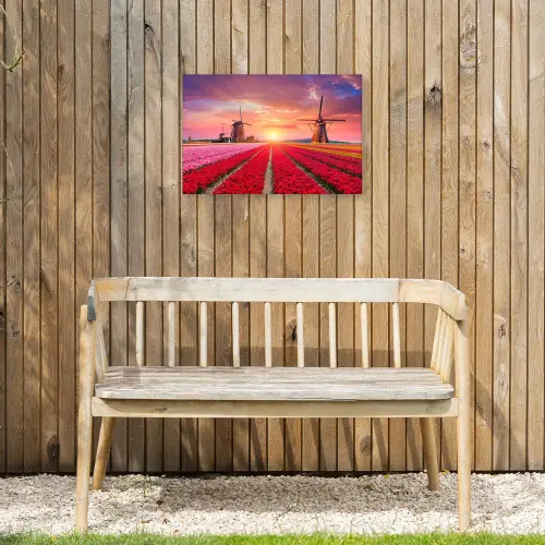 Tulpenvelden met windmolens bij zonsondergang Tuinposter op houten frame 2 cm dik klein -sfeer4