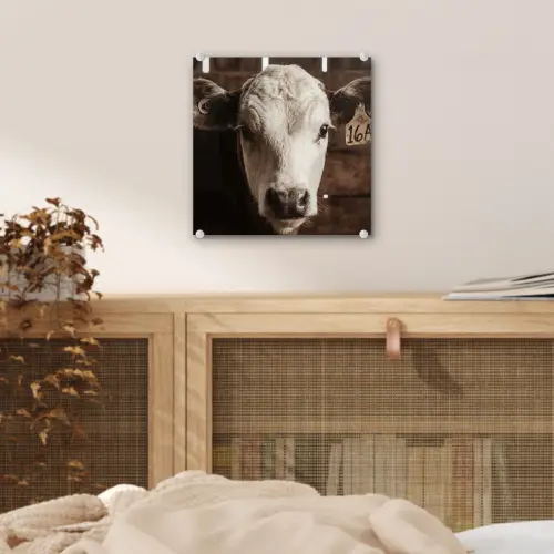 Kalf - Oormerk - Houten stal plexiglas 5mm klein -sfeer4
