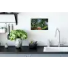 Pad - Bomen - Schaduw - Muursticker klein -keuken