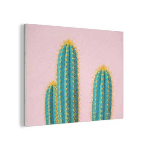 Cactussen - Modern - Pastel PET vilt klein -3d