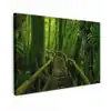Jungle - Brug - Mos - Natuur - Tropisch Tuinposter op houten frame 2 cm dik klein -3d
