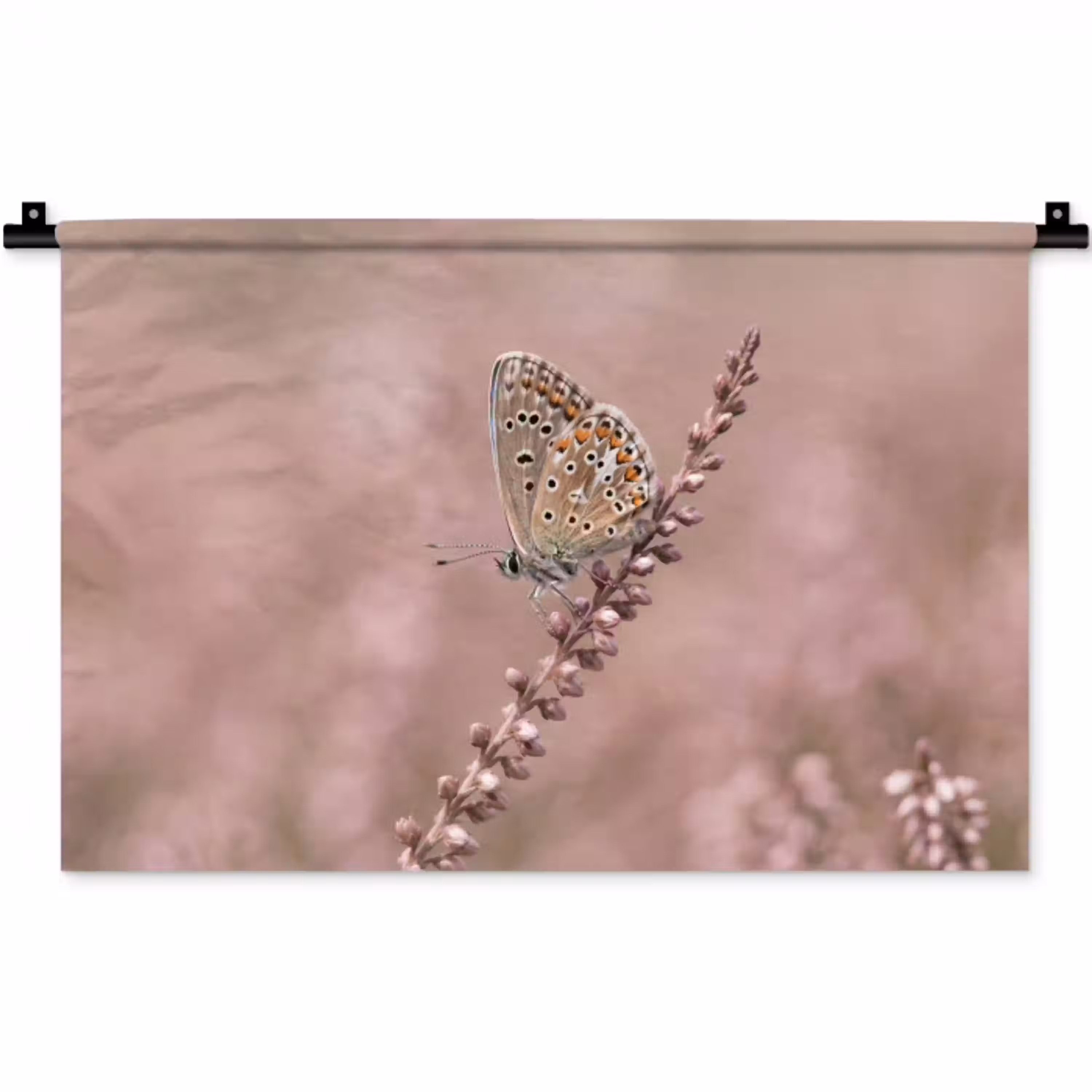 Lavendel - Vlinder - Paars Wandkleed katoen klein -zz3d