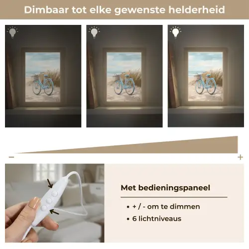 Strand - Zee - Fiets - Vintage - Bloemen Light Box met kabel (Tafellamp) klein -USP_dimbaarNL