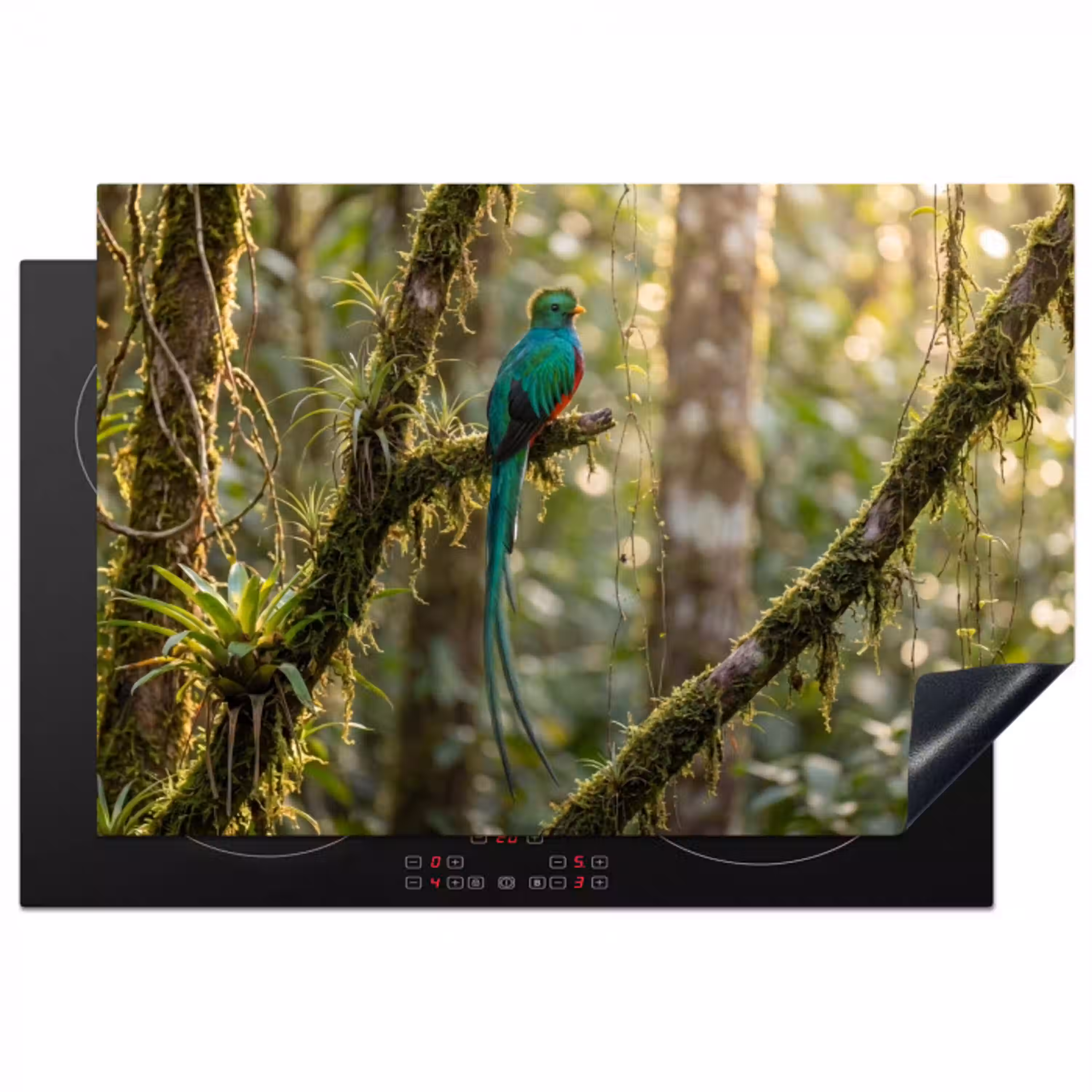 Quetzal - Jungle - Natuur - Groen Inductie beschermer vinyl 3mm klein -3d