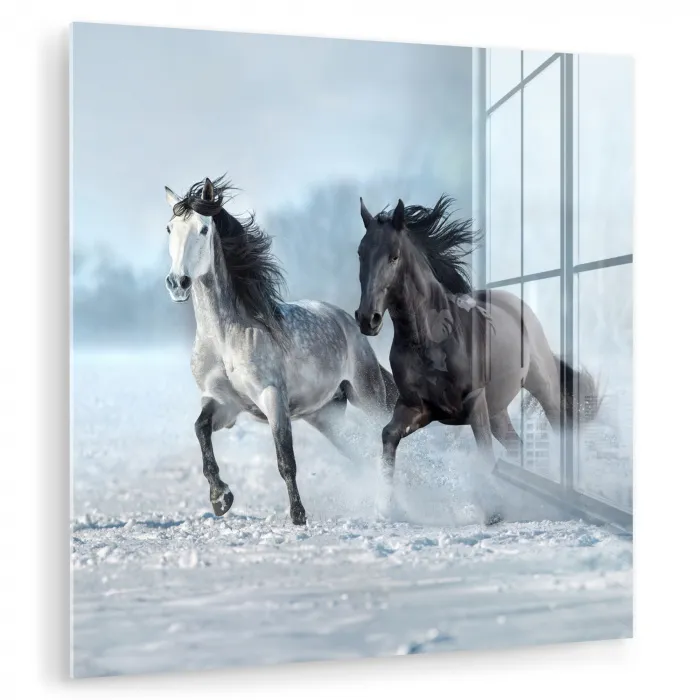 Paarden - Winter - Dieren - Natuur - Sneeuw plexiglas 5mm klein -zzzproduct_nieuw