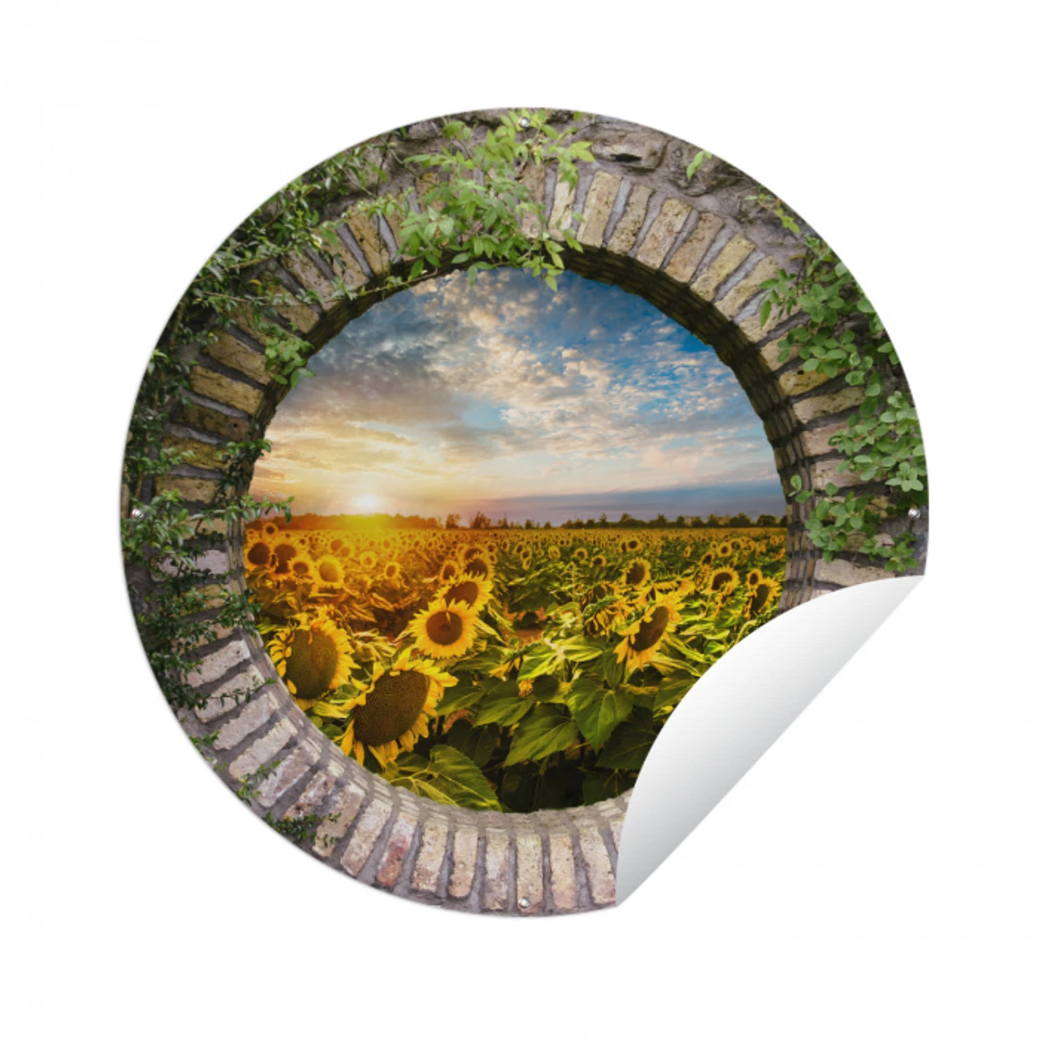 Zonnebloemen - Doorkijk - Bloemen - Zon Wandcirkel tuinposter met ringen klein -3d