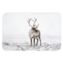 Rendier - Gewei - Sneeuw - Winter Badmat klein -3d