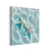 Zeesterren - Golvend water - Rustgevend aluminium wit klein -3d