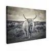 Schotse hooglander - Dieren - Wolken - Koe - Natuur canvas 2cm klein -z3d