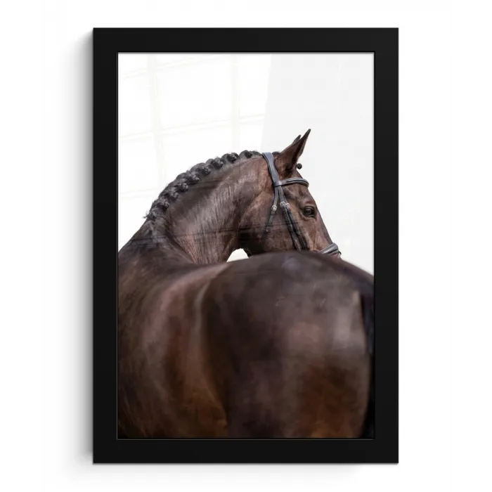 Portret - Paard - Elegant fotolijst zwart zonder passe partout klein -3d