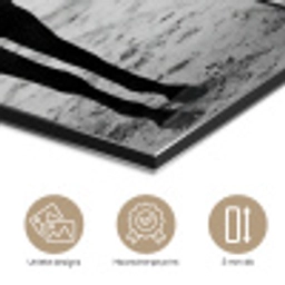 Paard - Auto - Zwart - Wit aluminium wit klein -closeup_NL