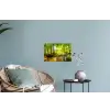Bos - Landschap - Water - Bomen - Zon - Groen Muursticker klein -plant